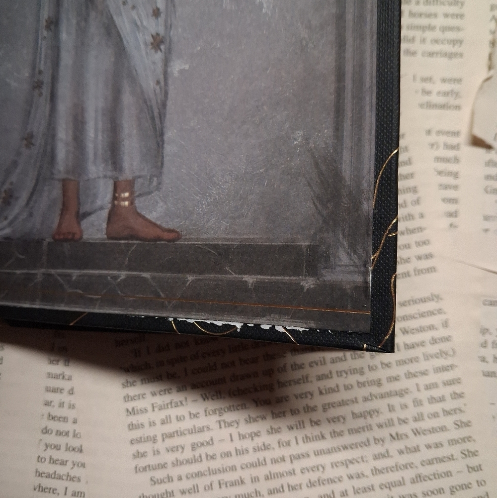 Fairyloot Edition Of Fallen City by Adrienne Young - Picture 8 of 11